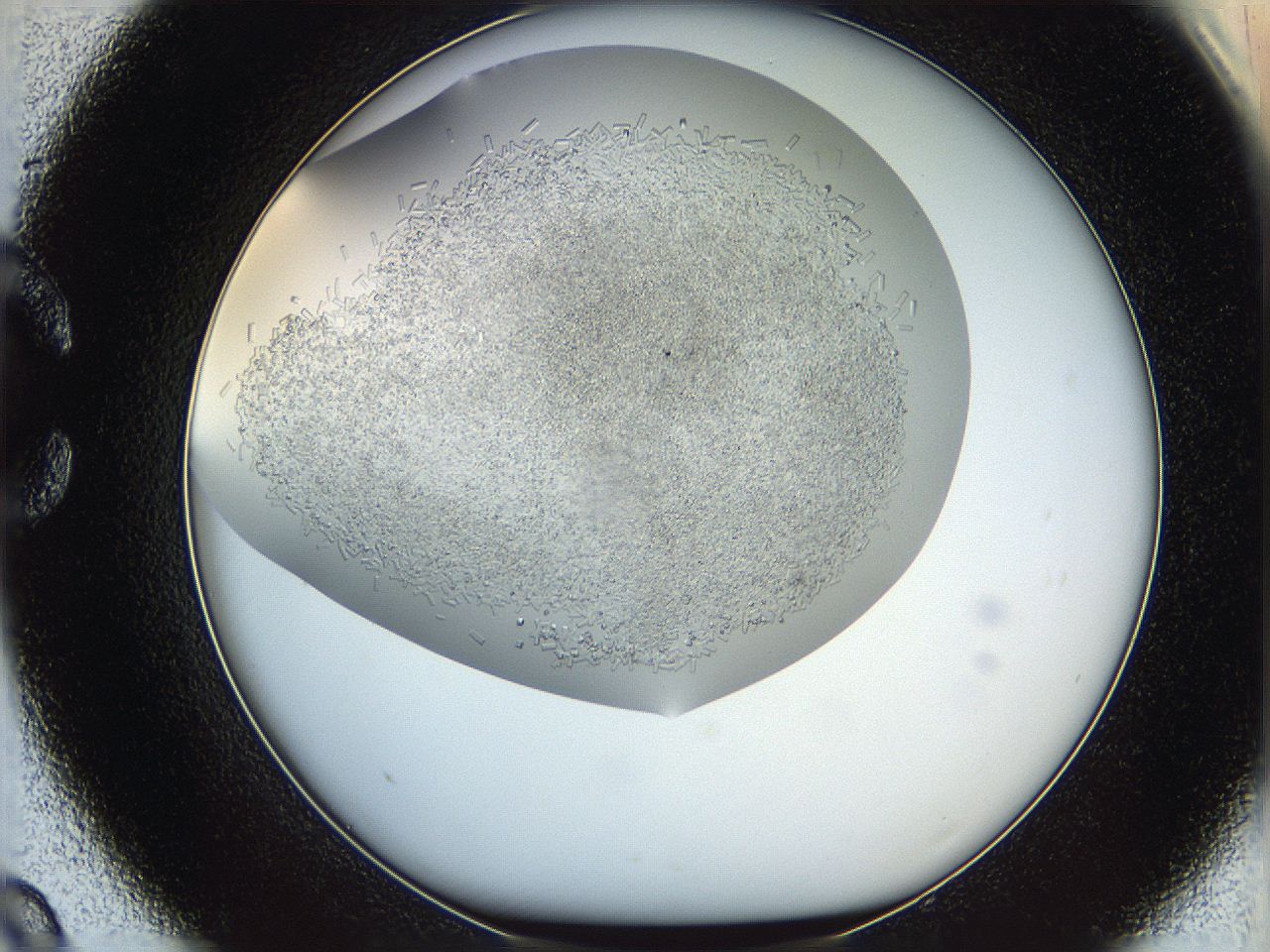 05v6_C9_ImagerDefaults_8.jpg