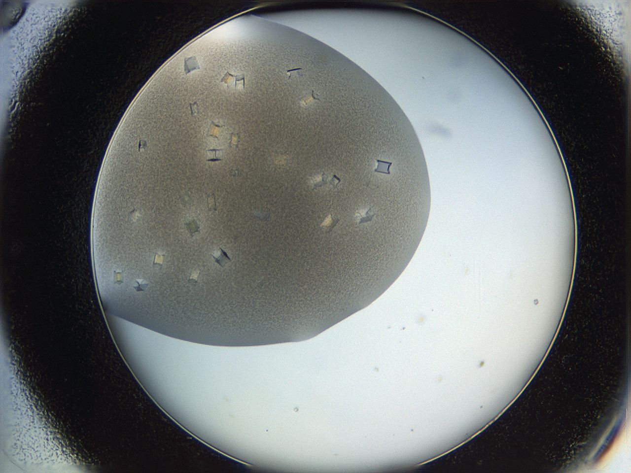05v6_C9_ImagerDefaults_9.jpg