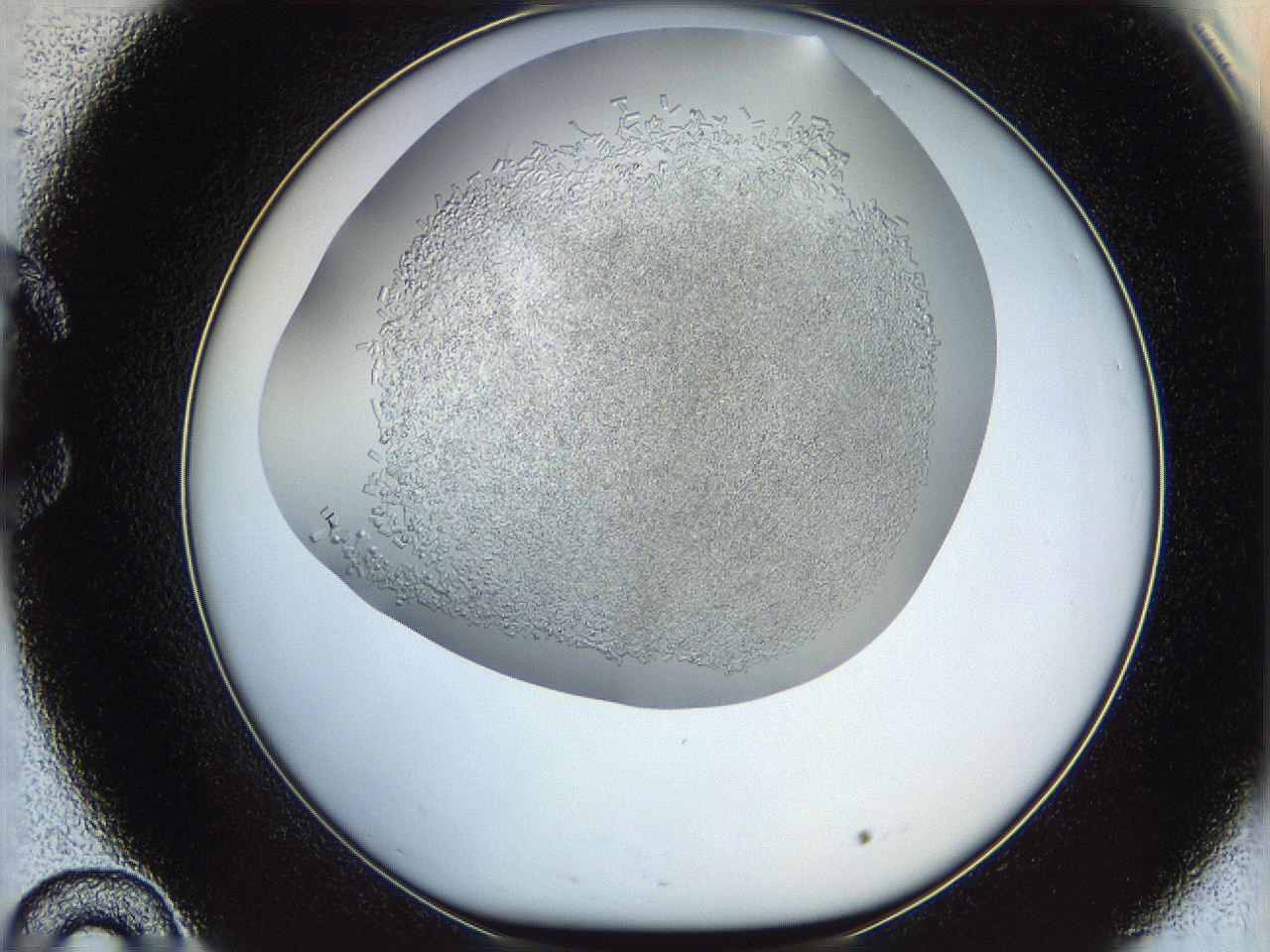 05v6_C10_ImagerDefaults_8.jpg