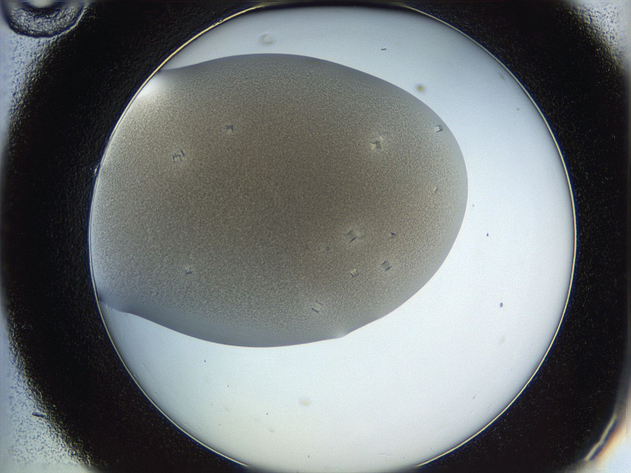 05v6_C10_ImagerDefaults_9.jpg