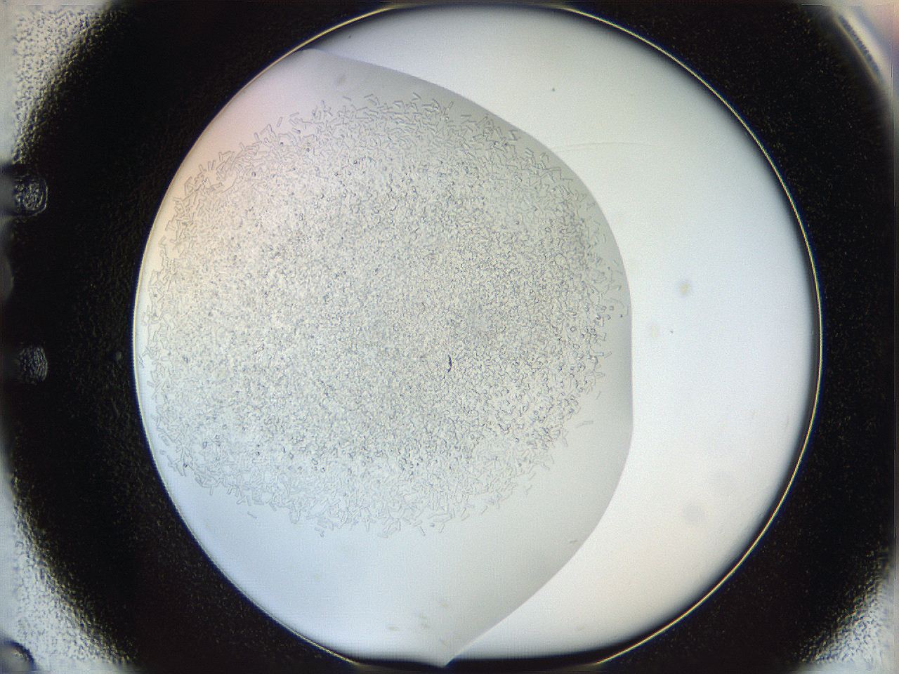 05v6_E9_ImagerDefaults_6.jpg