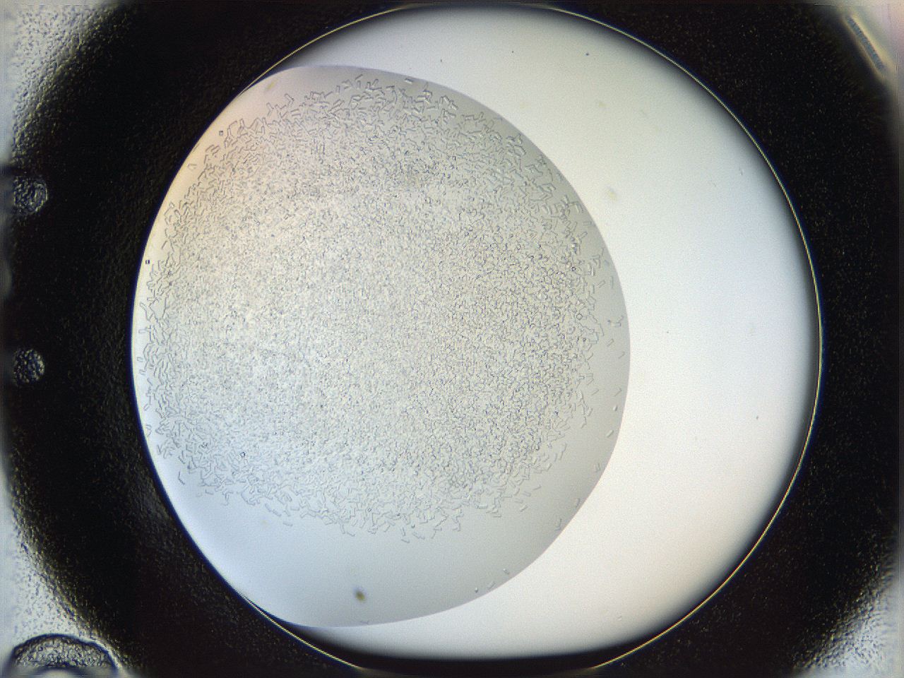 05v6_E10_ImagerDefaults_6.jpg