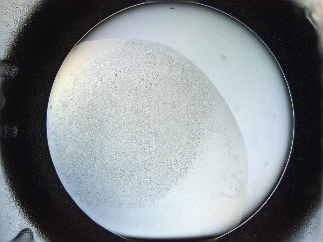 05v6_E11_ImagerDefaults_8.jpg