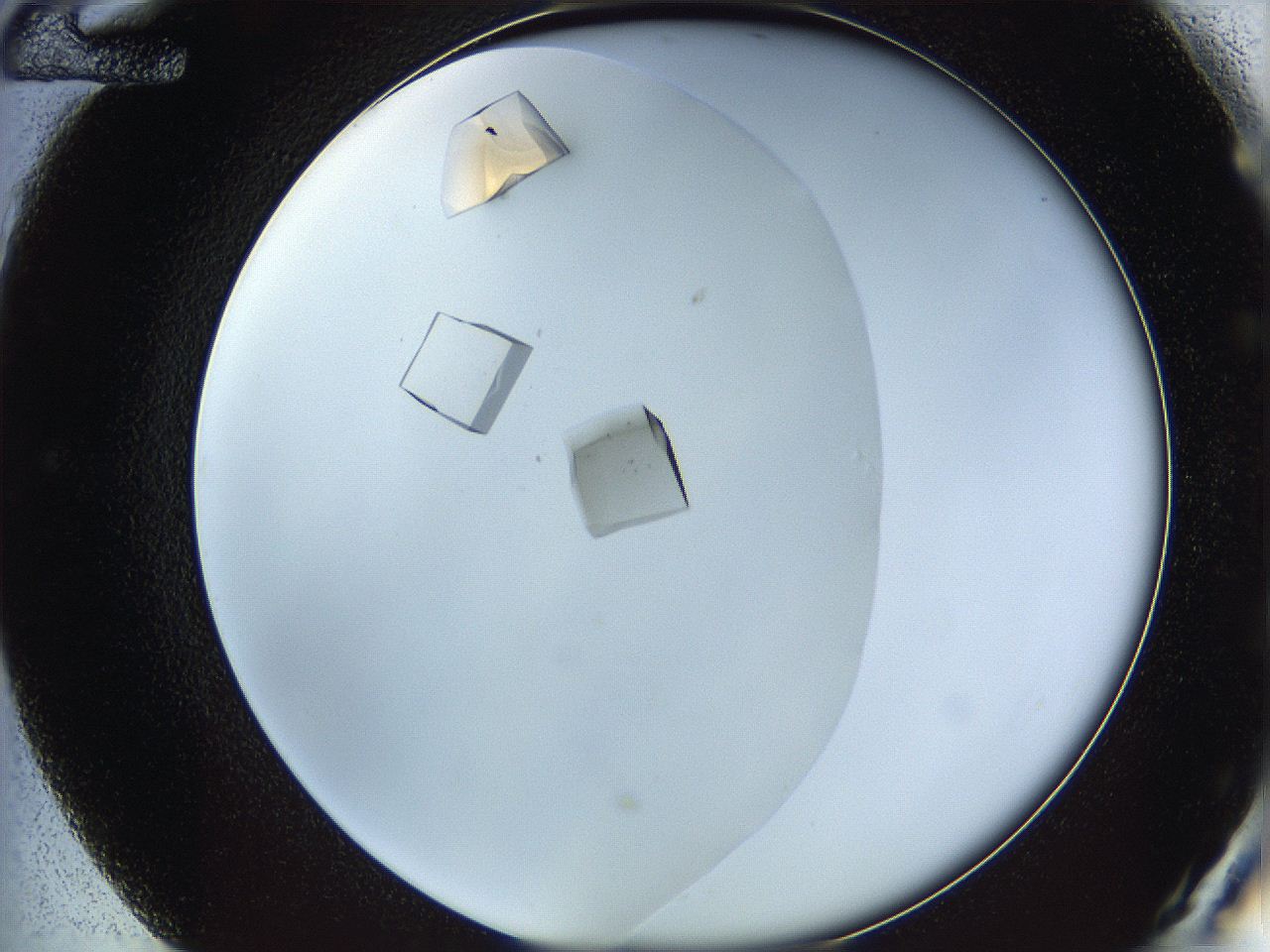 05v6_E12_ImagerDefaults_9.jpg