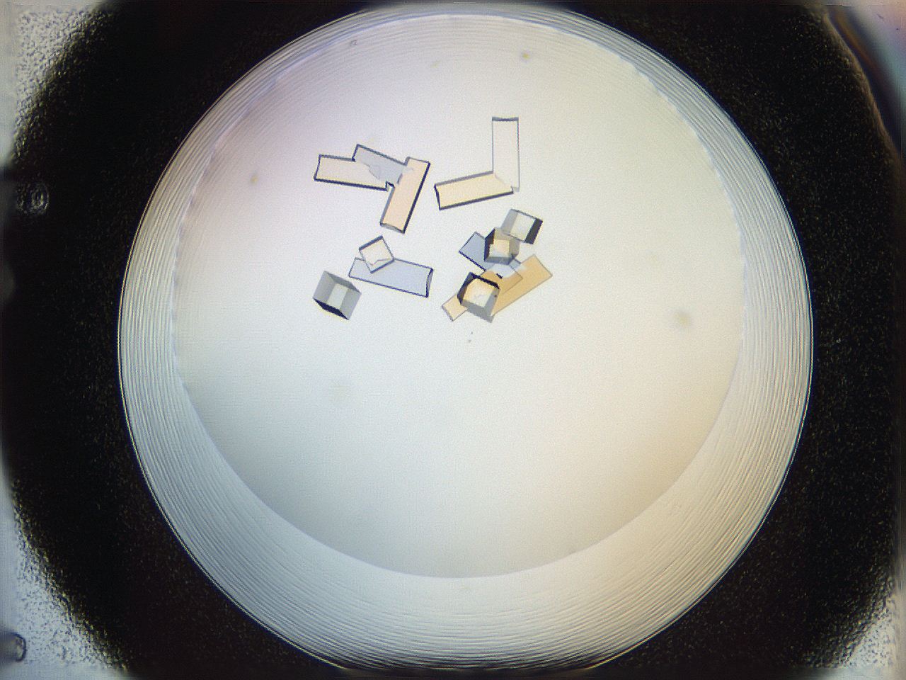 05v6_F5_ImagerDefaults_9.jpg
