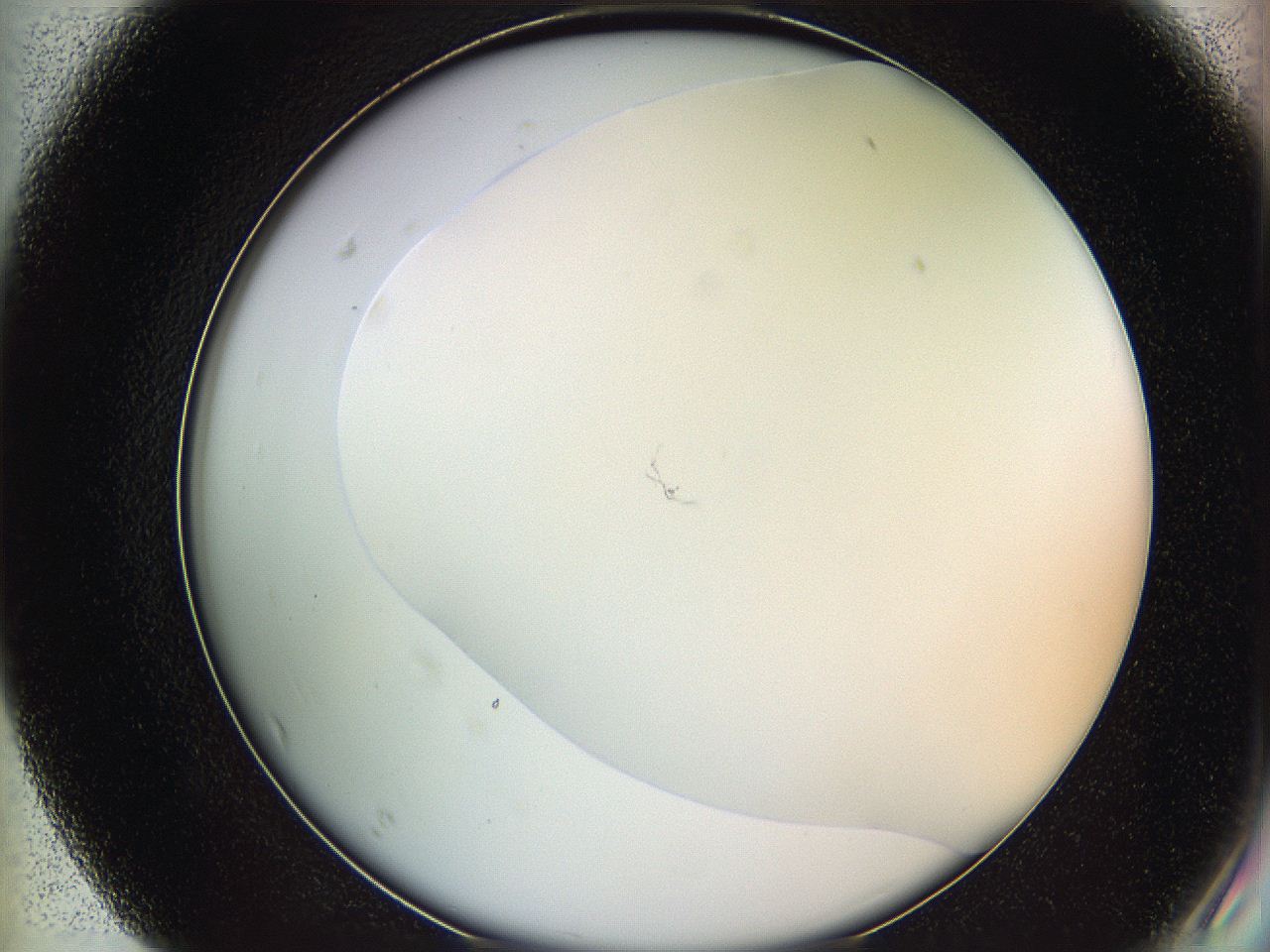 05v6_F7_ImagerDefaults_0.jpg