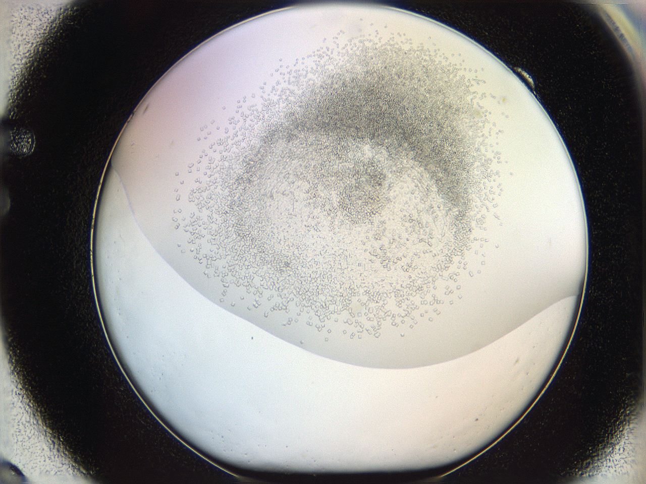 05v6_F9_ImagerDefaults_8.jpg