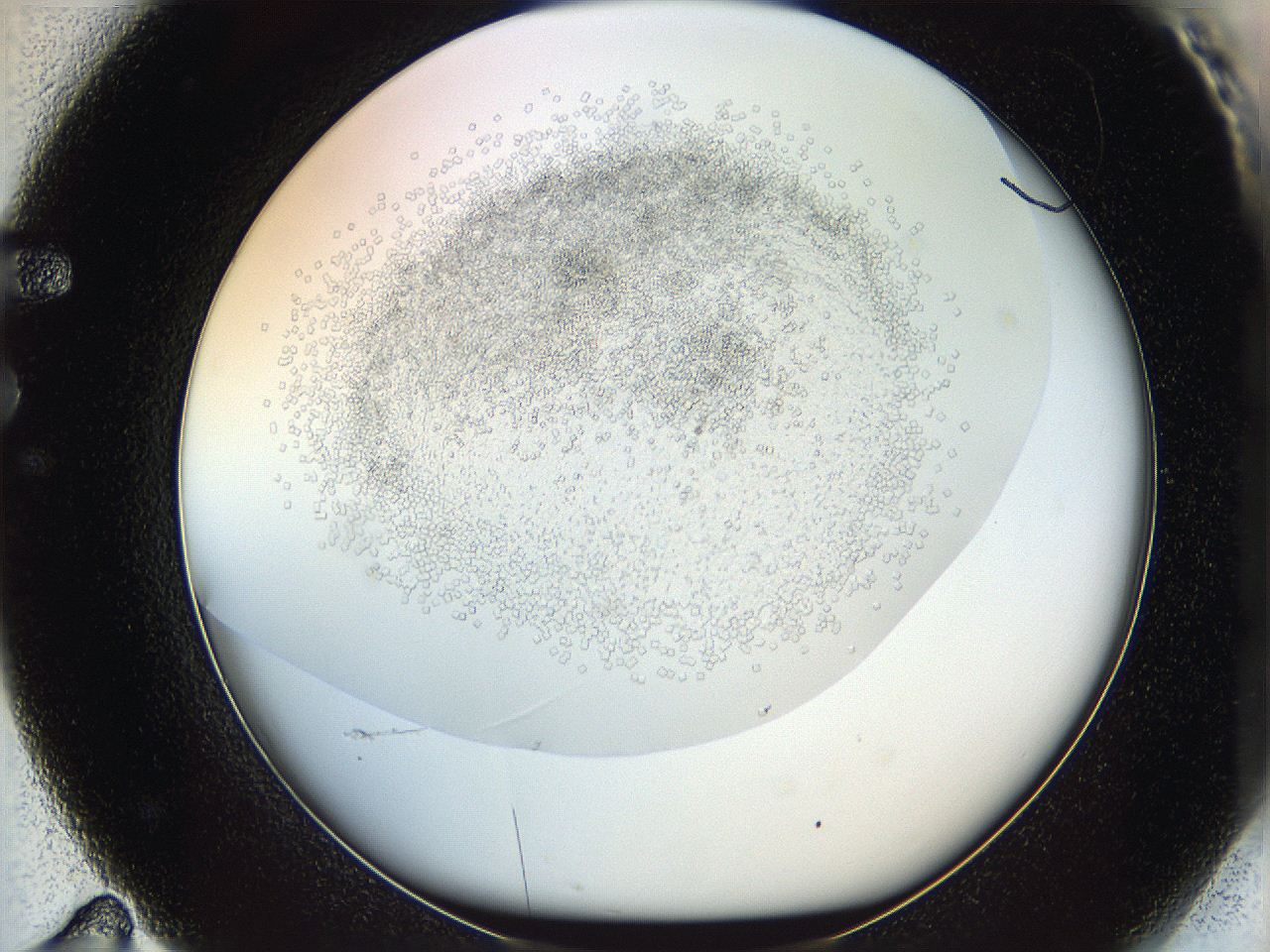 05v6_F11_ImagerDefaults_6.jpg