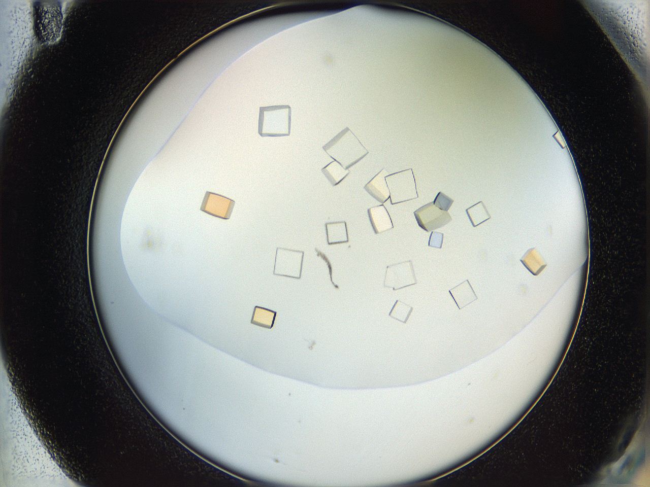 05v6_F11_ImagerDefaults_9.jpg