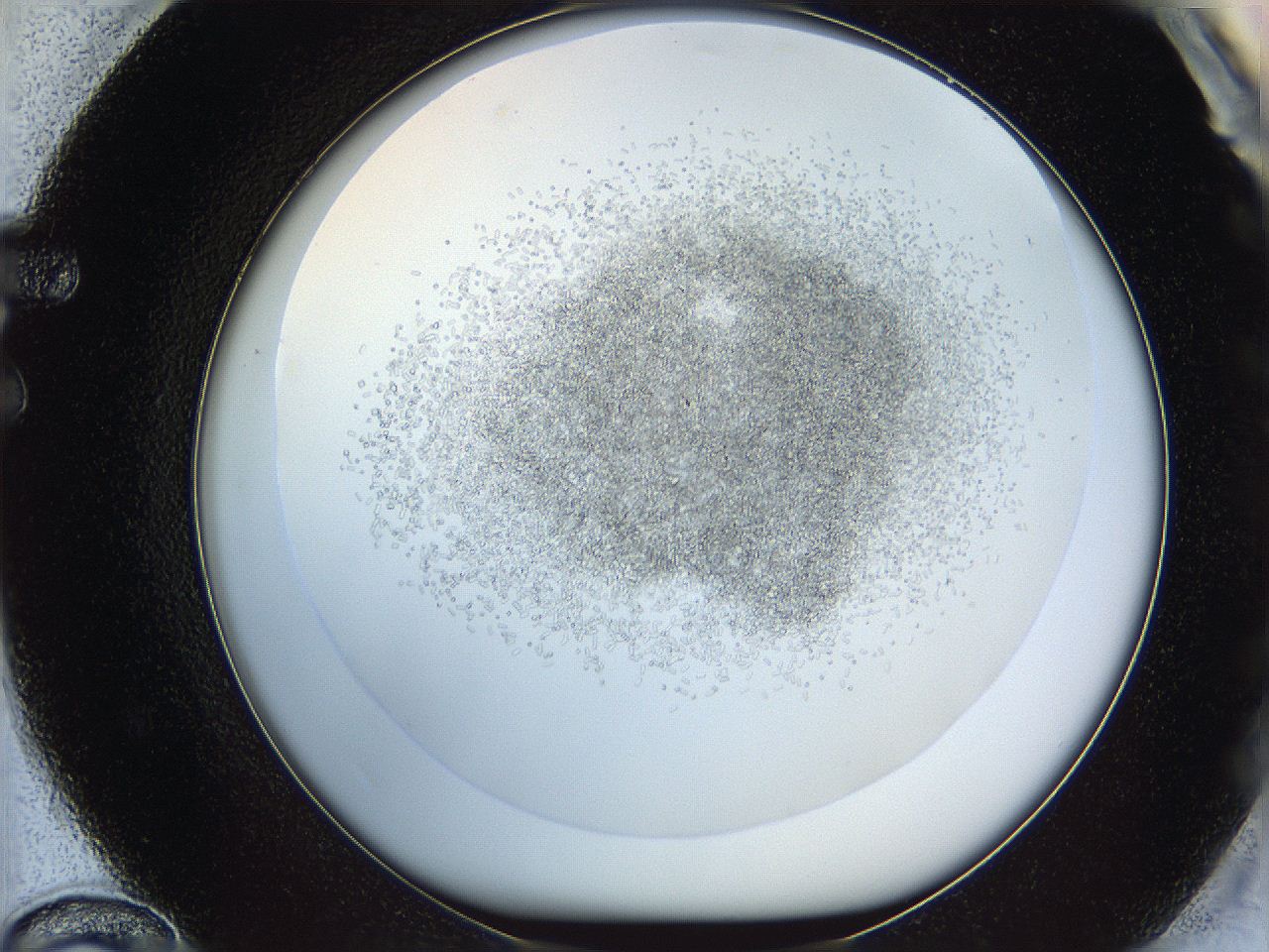05v6_F12_ImagerDefaults_8.jpg