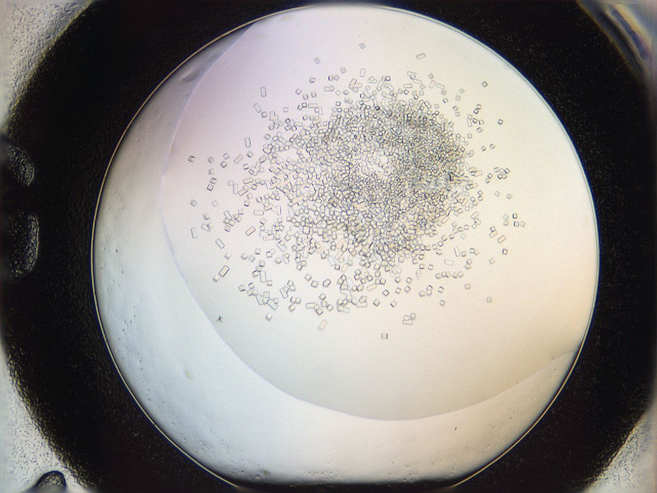 05v6_G11_ImagerDefaults_8.jpg