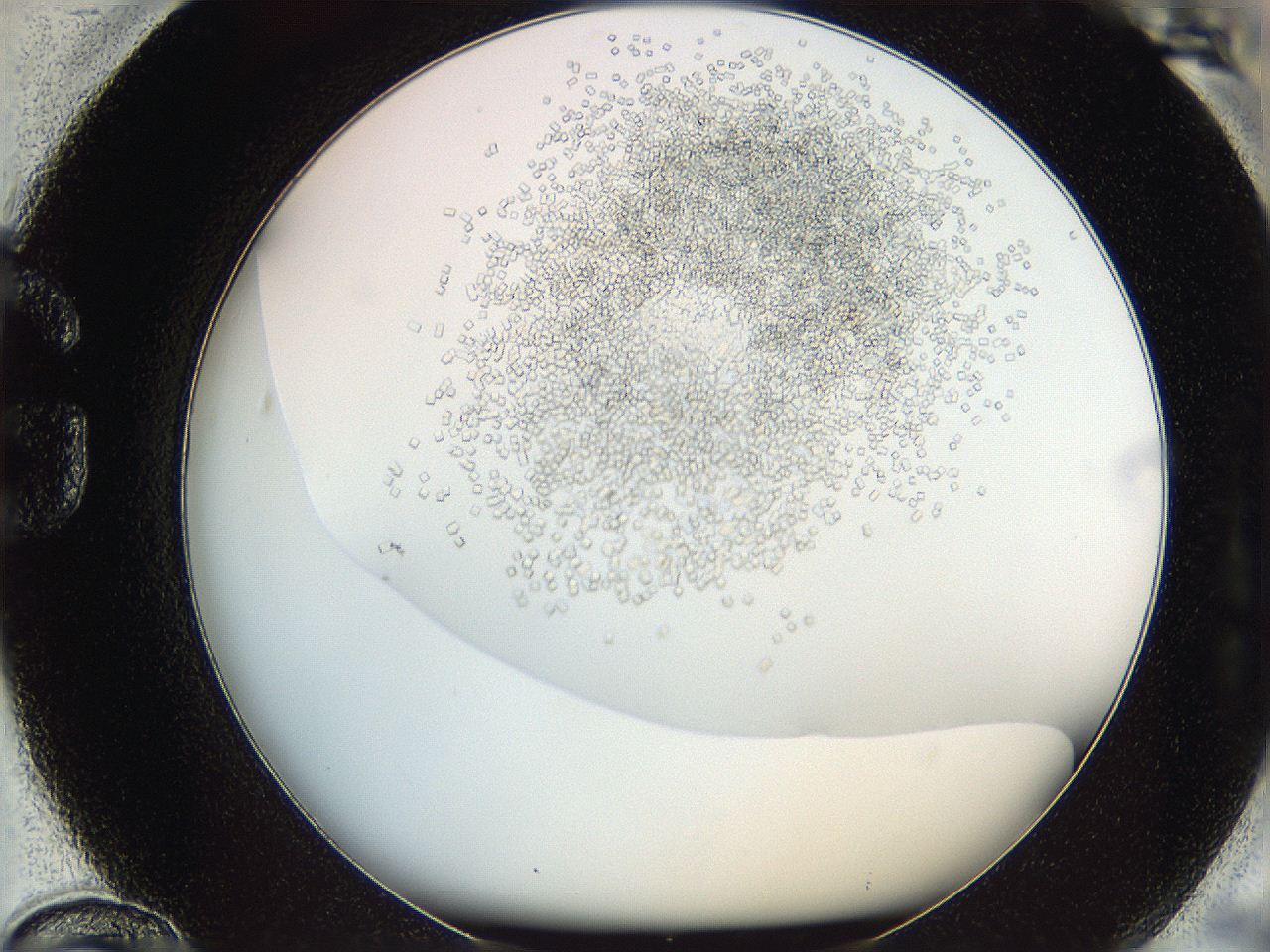 05v6_G12_ImagerDefaults_8.jpg