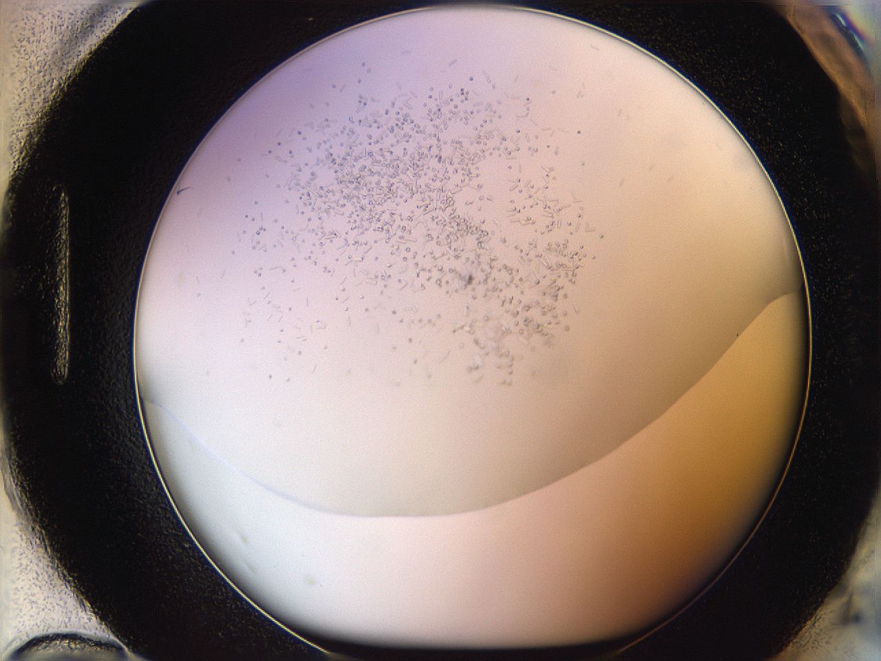 05v6_H12_ImagerDefaults_6.jpg