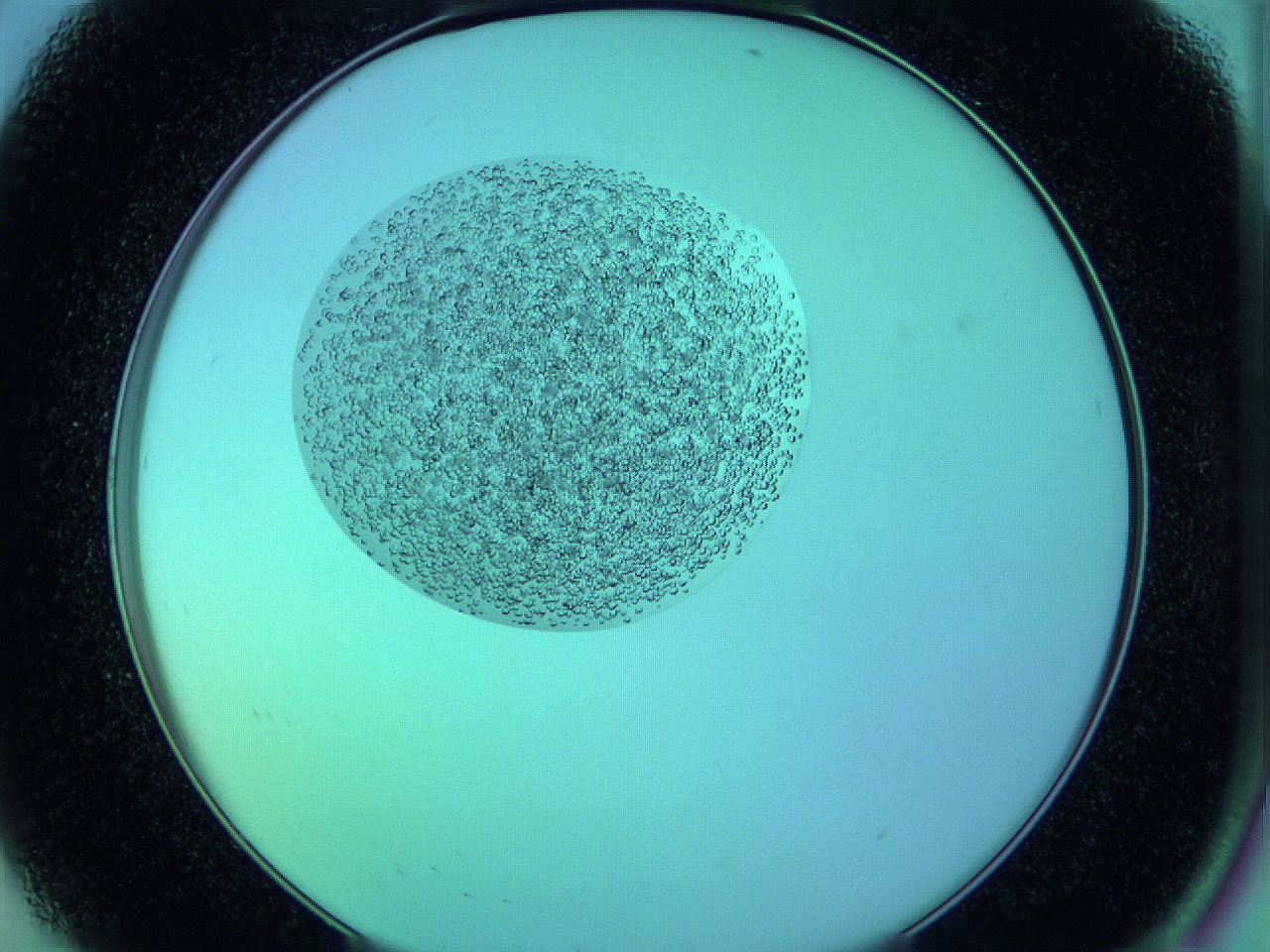 05vg_A8_ImagerDefaults_9.jpg