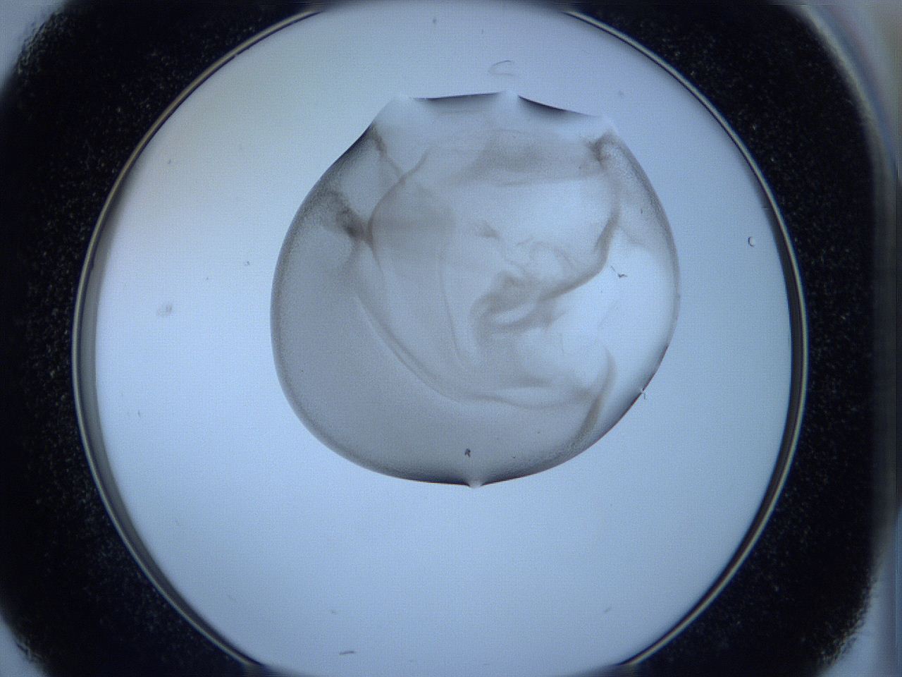 05vu_C7_ImagerDefaults_3.jpg