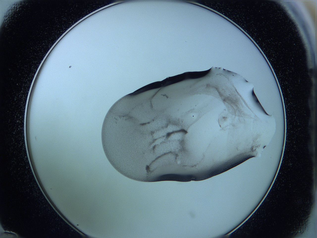 05vu_D12_ImagerDefaults_3.jpg