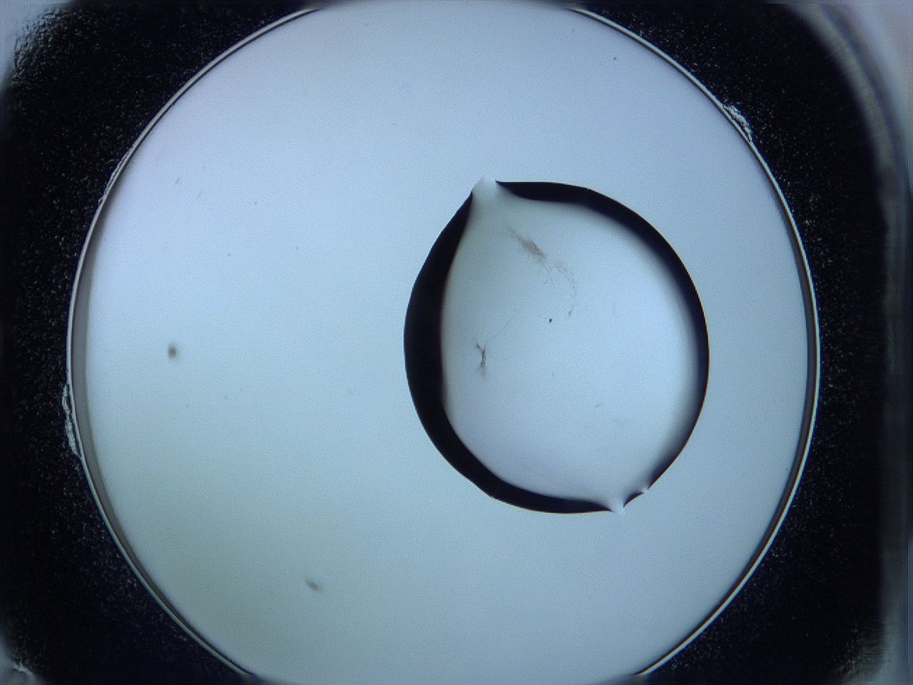05vu_B11_ImagerDefaults_3.jpg