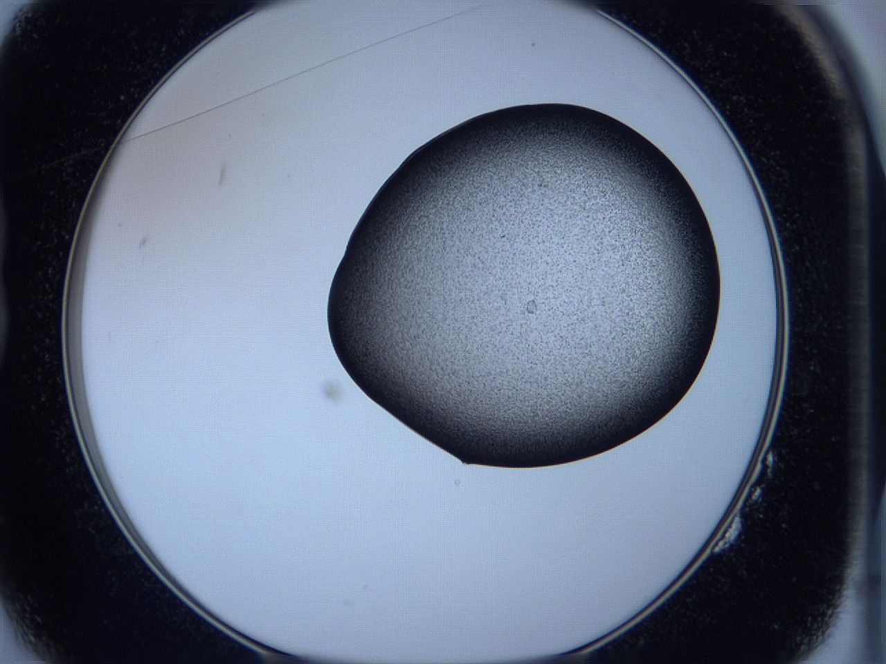 05vu_B2_ImagerDefaults_3.jpg