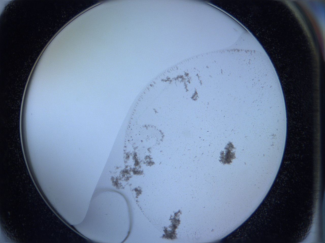 05vu_F4_ImagerDefaults_3.jpg