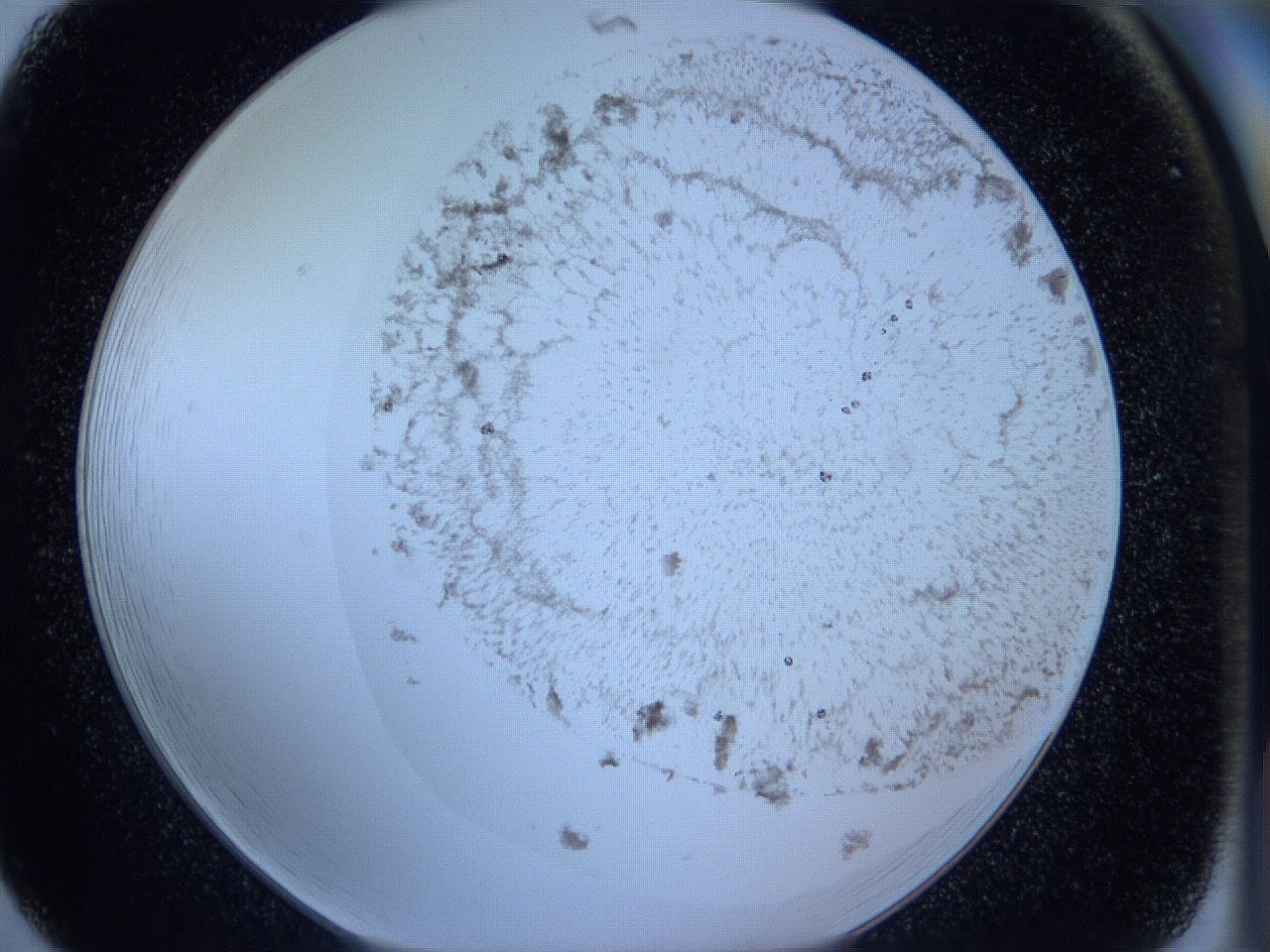 05vu_F5_ImagerDefaults_3.jpg