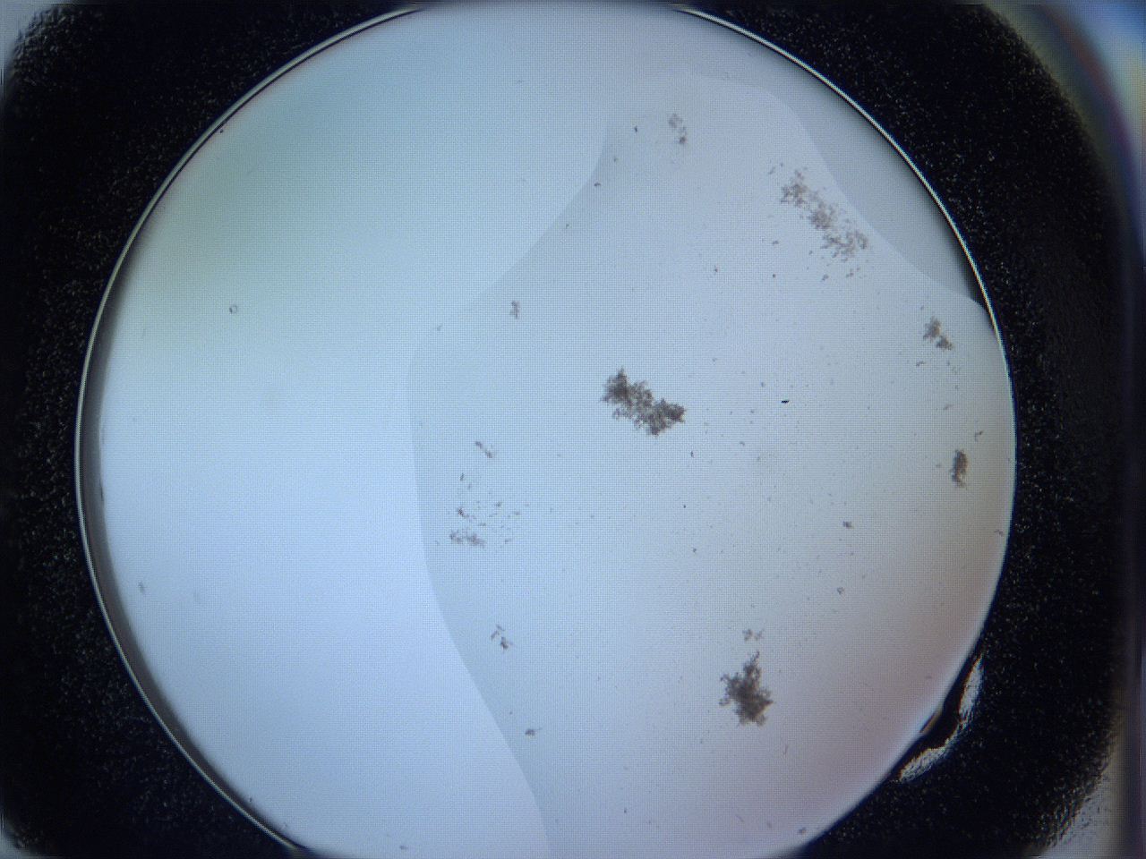 05vu_G10_ImagerDefaults_3.jpg