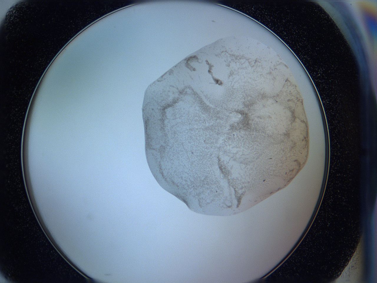 05vu_H10_ImagerDefaults_3.jpg