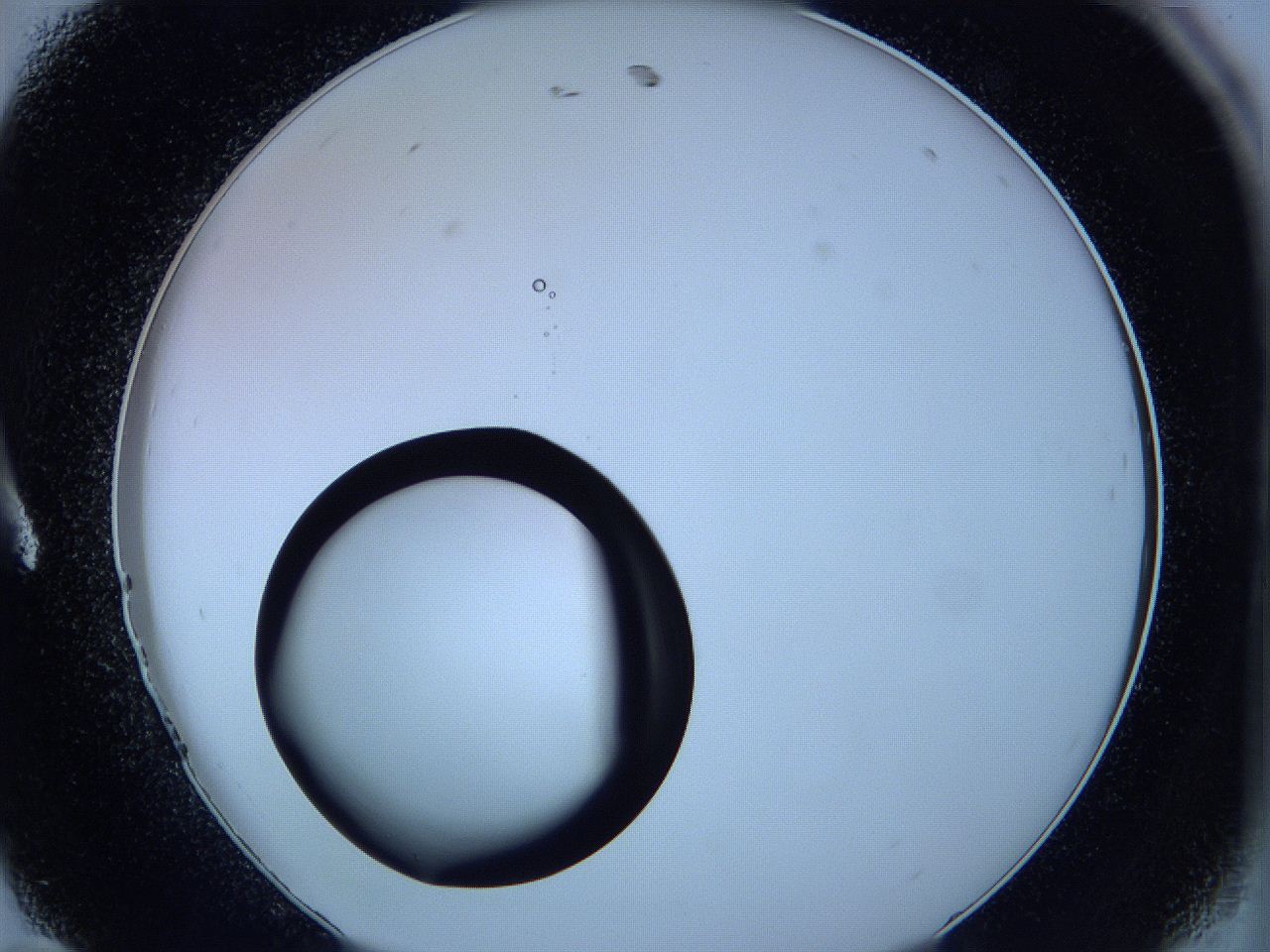 05vw_A11_ImagerDefaults_1.jpg