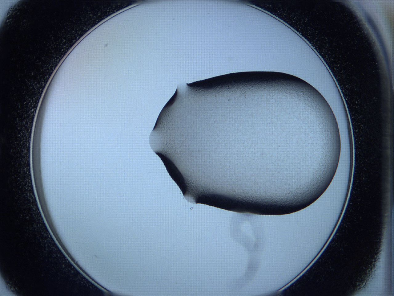 05vw_C9_ImagerDefaults_3.jpg