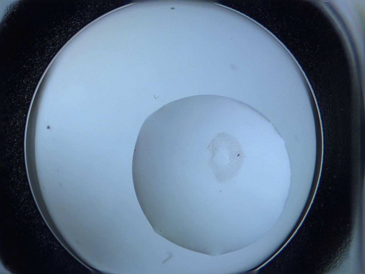 05vw_E11_ImagerDefaults_3.jpg