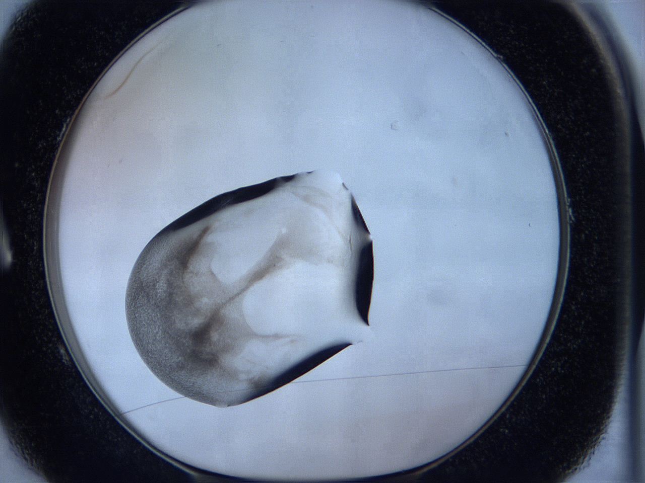 05vx_A1_ImagerDefaults_3.jpg