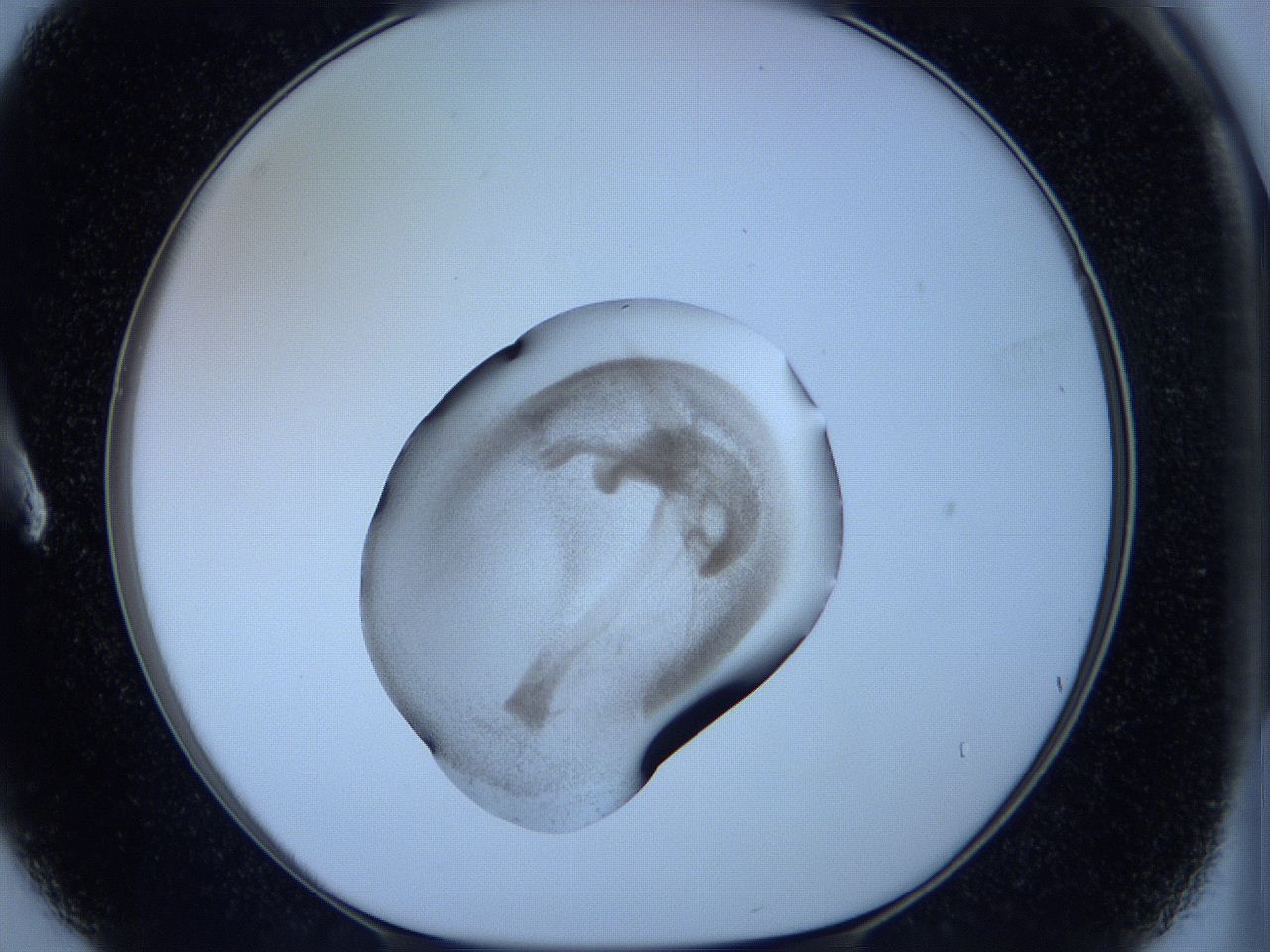 05vx_A3_ImagerDefaults_3.jpg