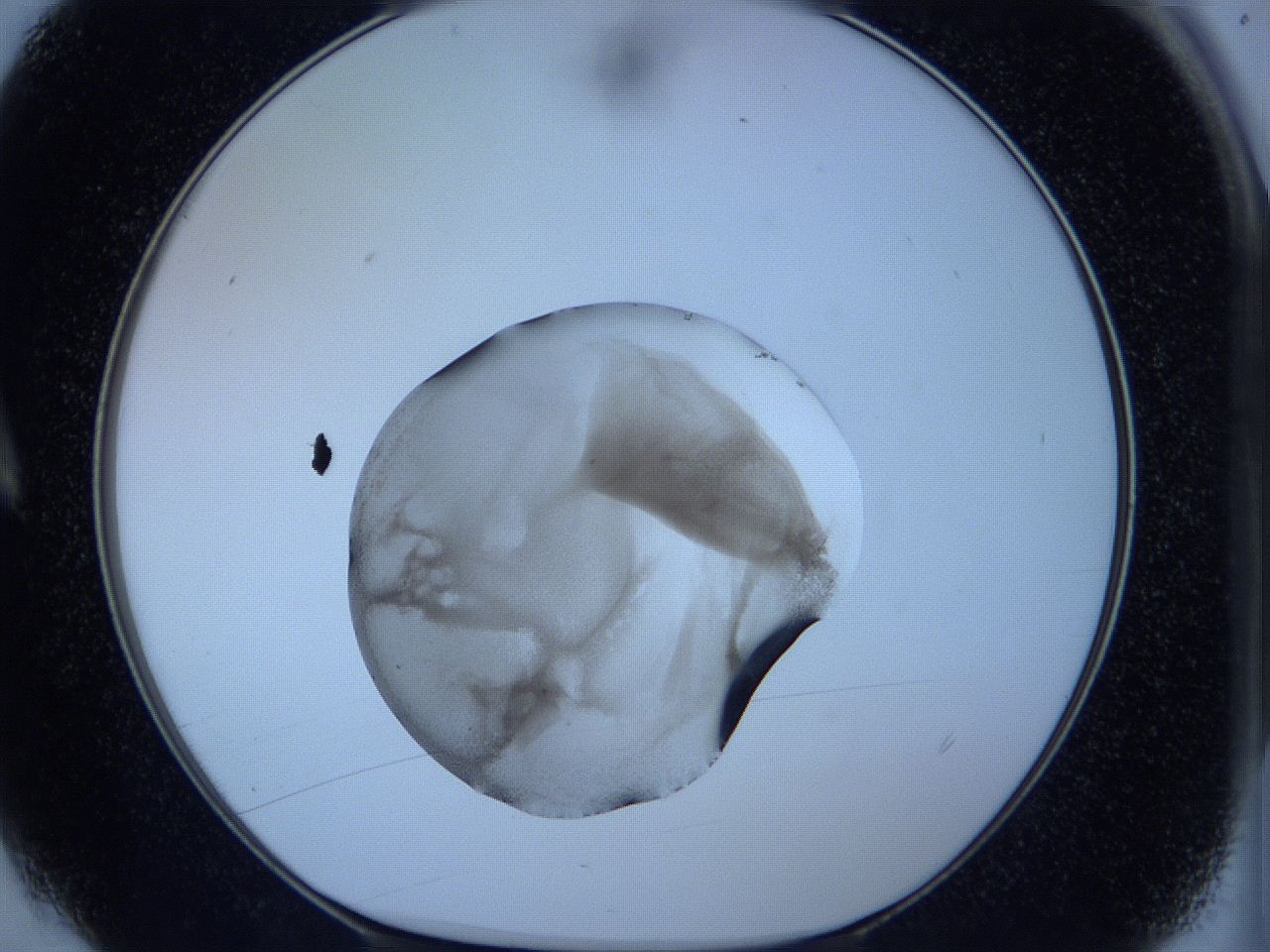 05vx_A4_ImagerDefaults_3.jpg