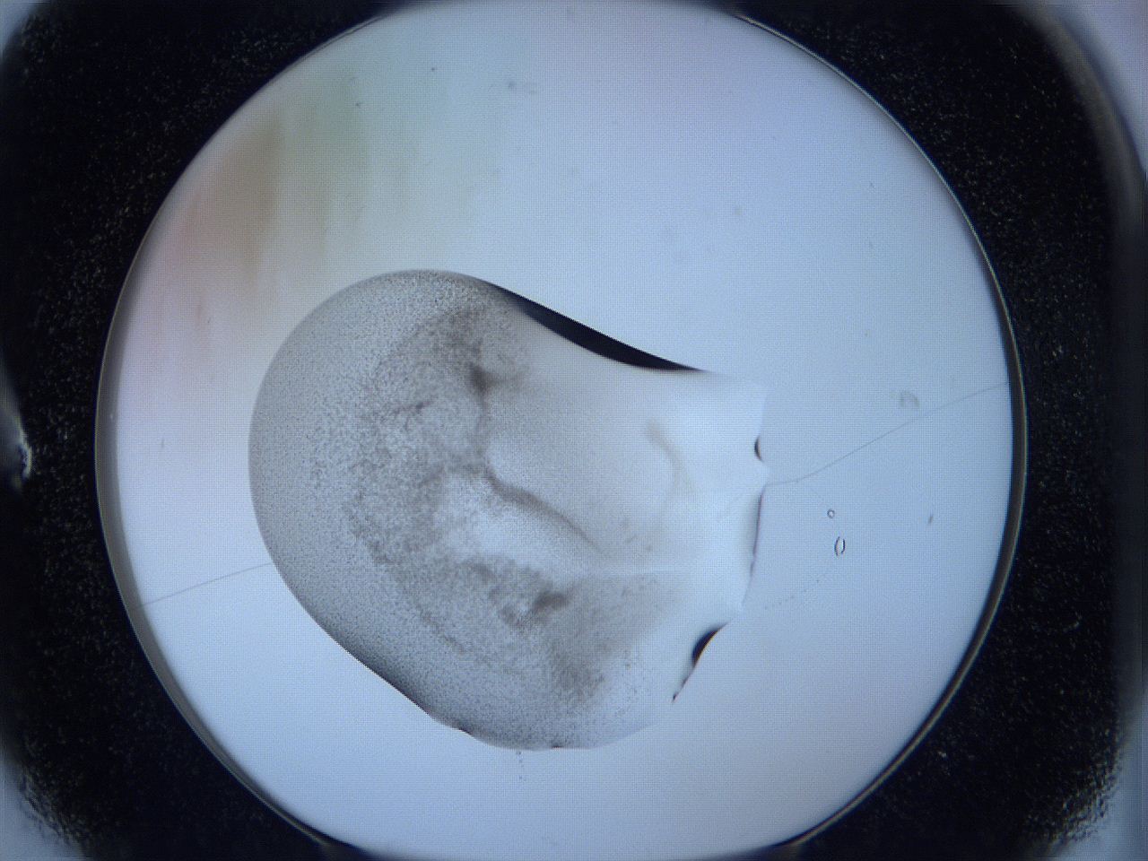 05vx_A6_ImagerDefaults_3.jpg