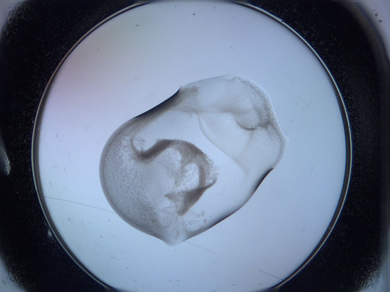 05vx_A9_ImagerDefaults_3.jpg