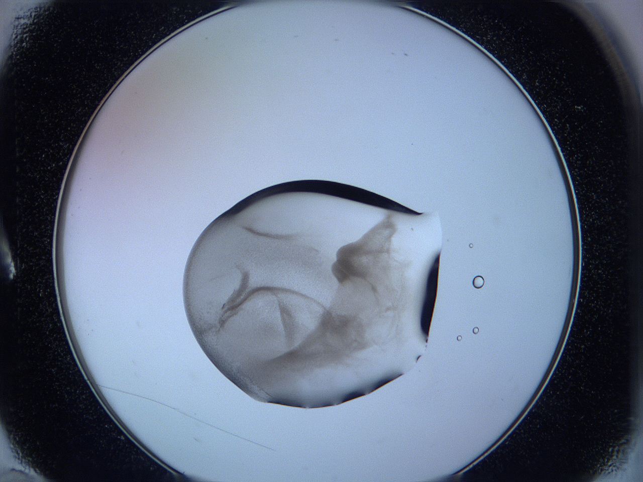 05vx_A10_ImagerDefaults_3.jpg