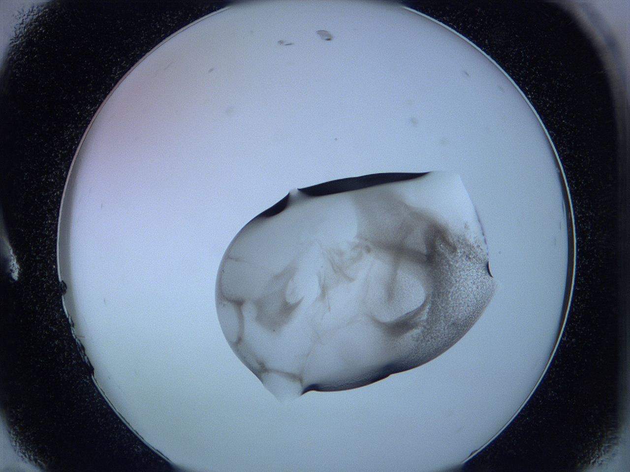 05vx_A11_ImagerDefaults_3.jpg