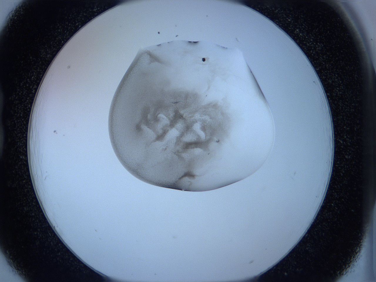 05vx_B6_ImagerDefaults_3.jpg