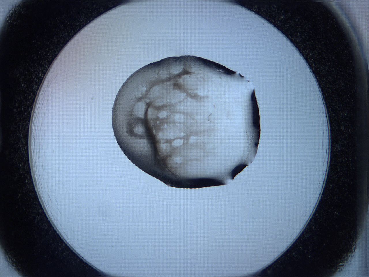 05vx_B7_ImagerDefaults_3.jpg
