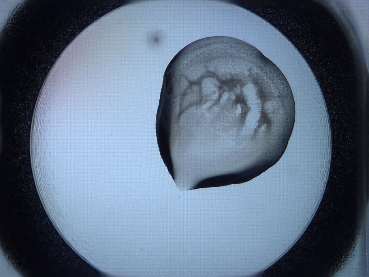 05vx_B8_ImagerDefaults_3.jpg