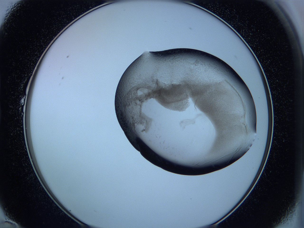 05vx_B10_ImagerDefaults_3.jpg