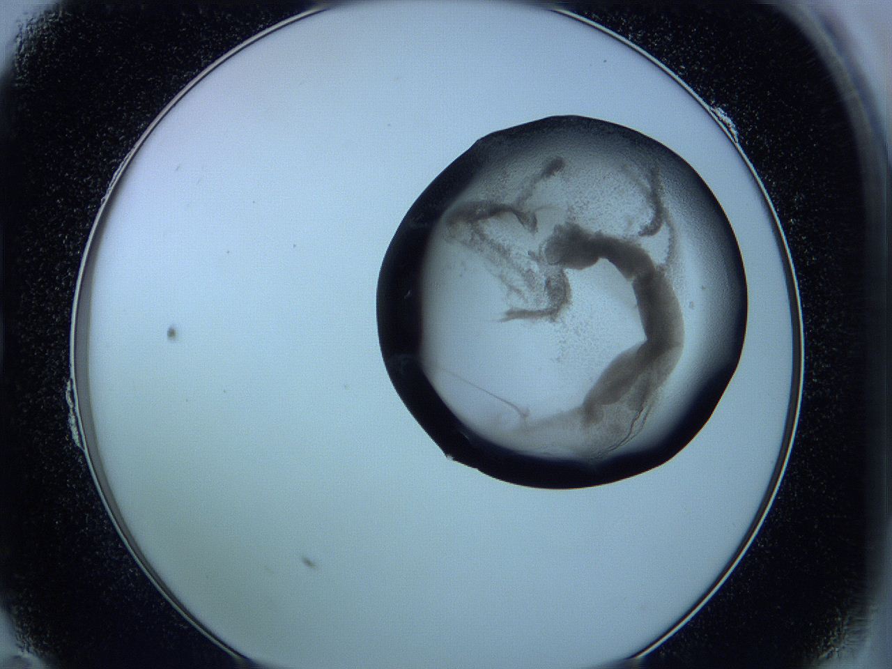 05vx_B11_ImagerDefaults_3.jpg