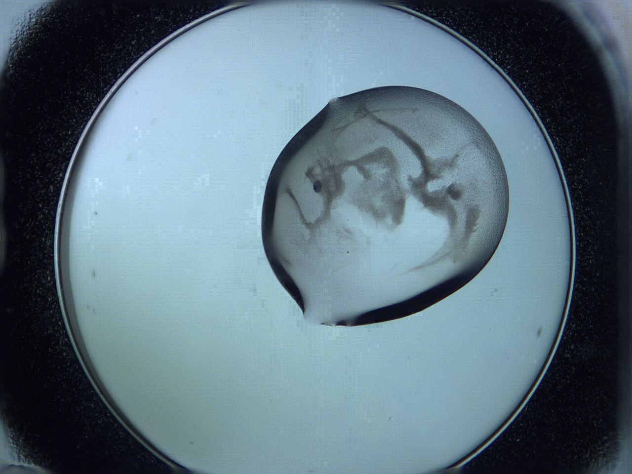 05vx_B12_ImagerDefaults_3.jpg