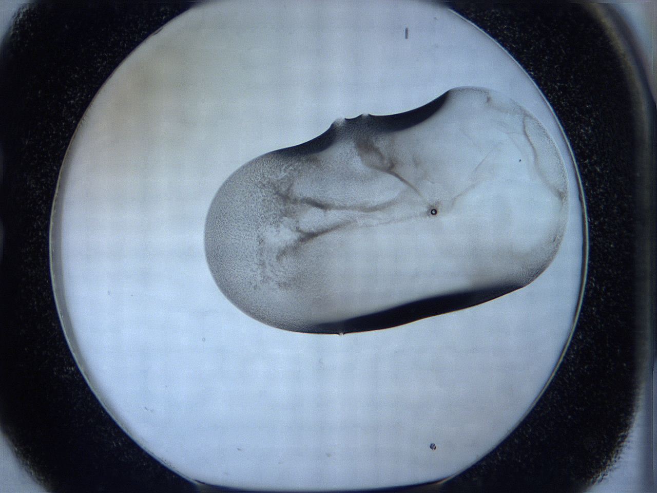 05vx_C2_ImagerDefaults_3.jpg