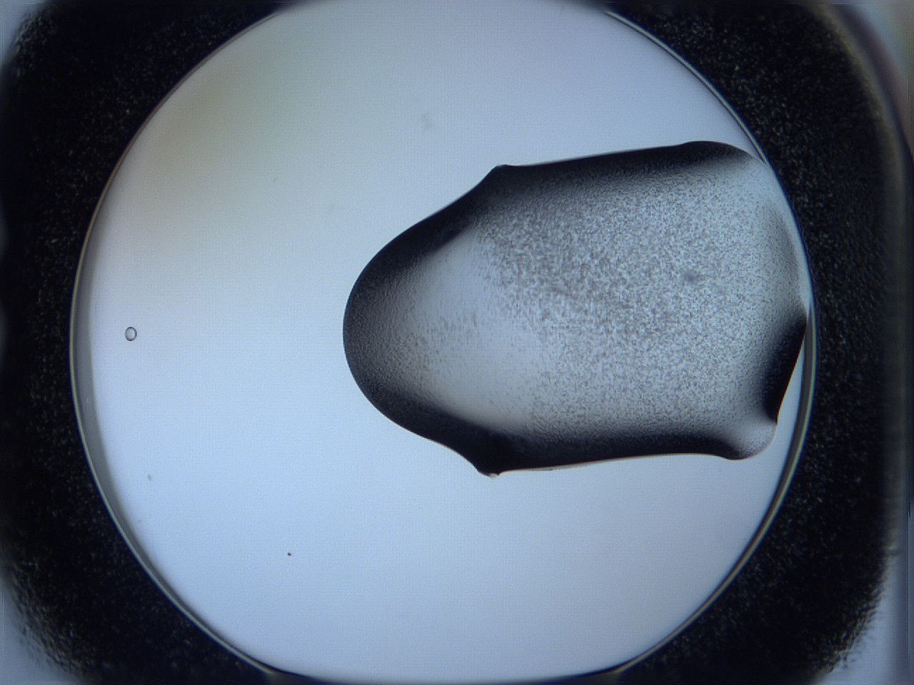 05vx_C3_ImagerDefaults_3.jpg