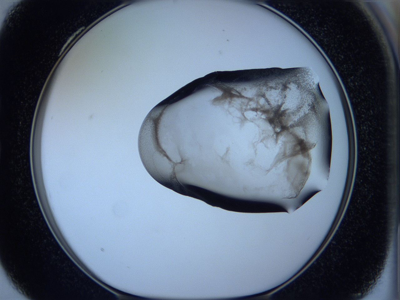 05vx_C4_ImagerDefaults_3.jpg