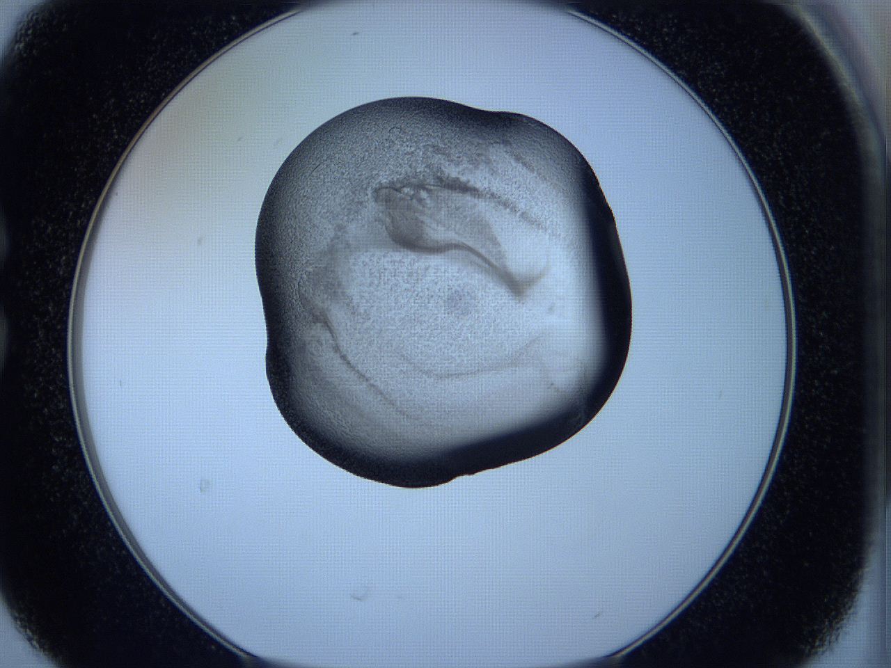 05vx_C6_ImagerDefaults_3.jpg