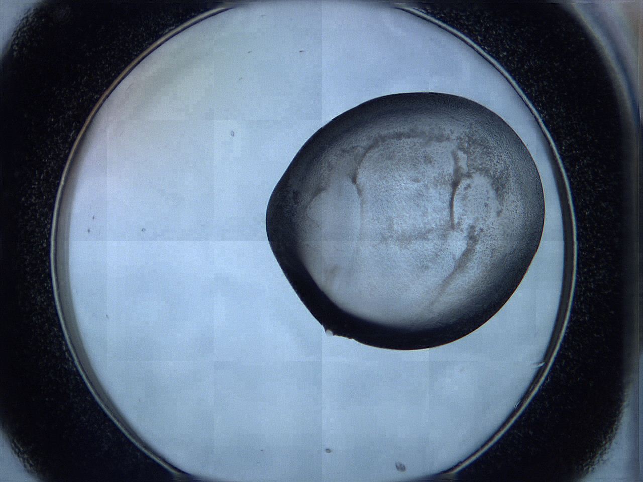 05vx_C8_ImagerDefaults_3.jpg