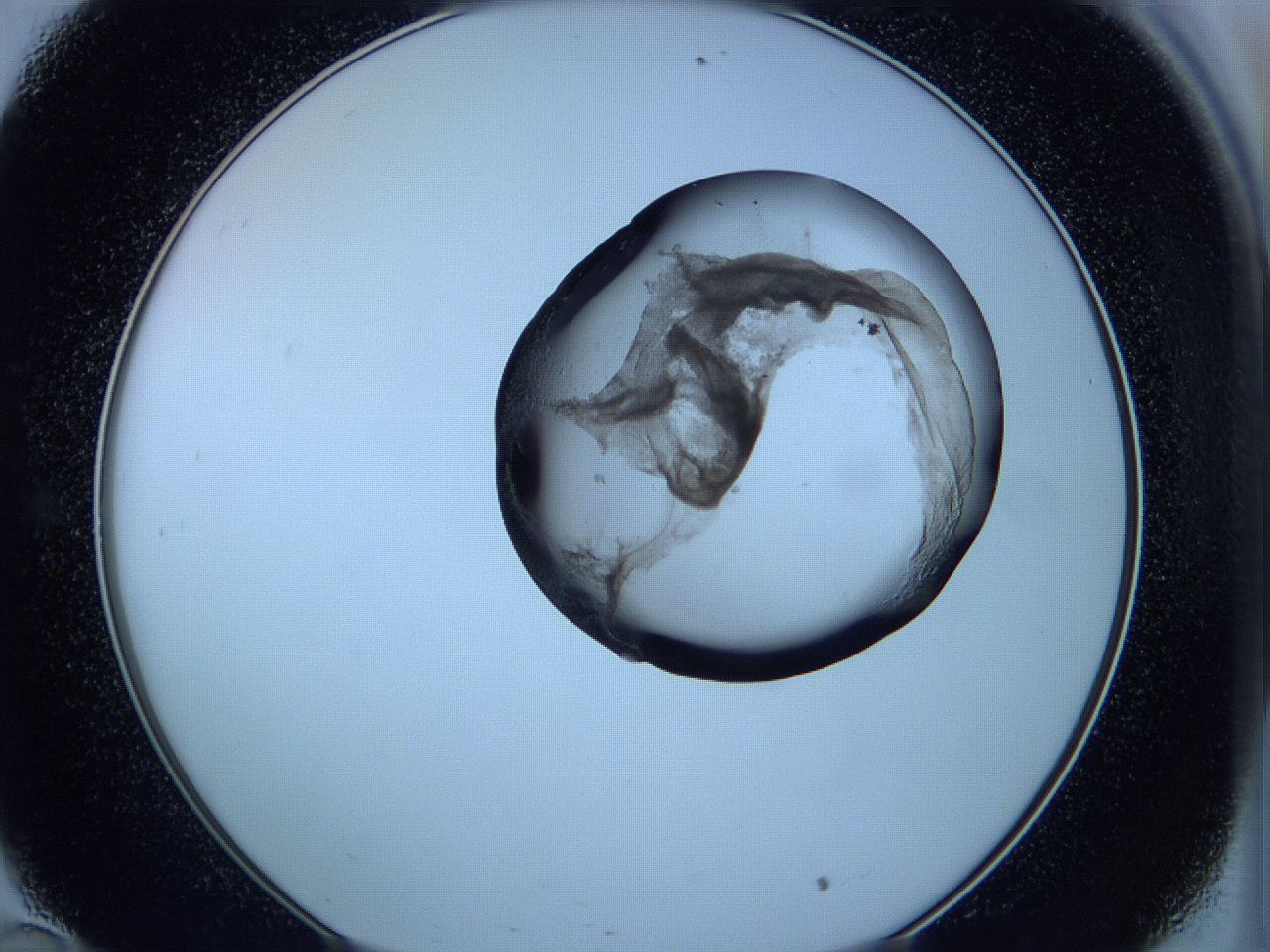 05vx_C10_ImagerDefaults_3.jpg