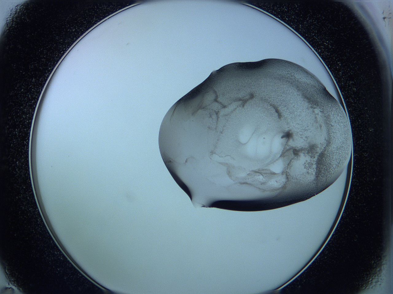 05vx_C11_ImagerDefaults_3.jpg
