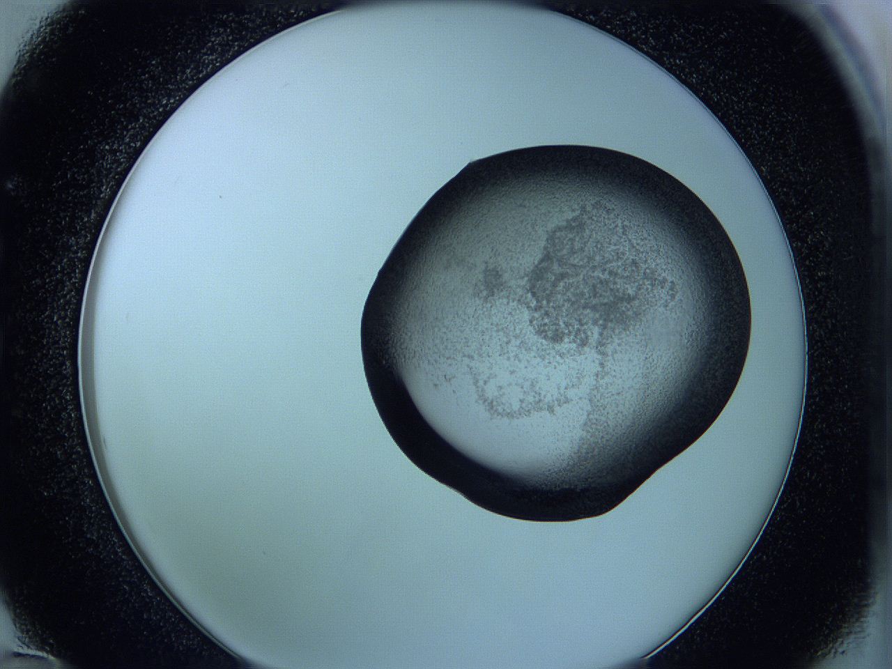 05vx_C12_ImagerDefaults_3.jpg